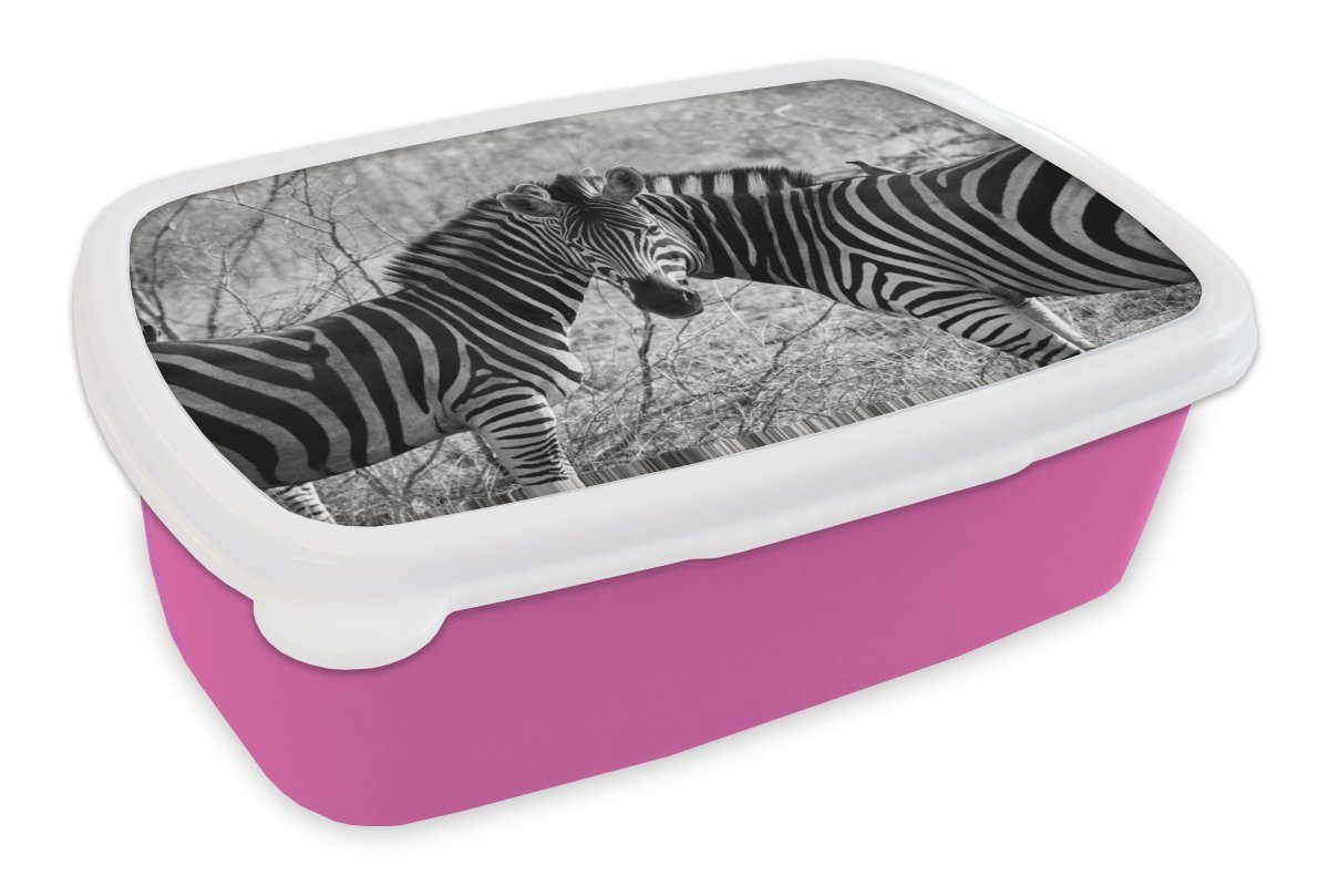 Lunchbox für Brotdose Kunststoff Snackbox, Kinder, MuchoWow Mädchen, rosa (2-tlg), Zwei Zebras, Brotbox Kunststoff, Erwachsene,