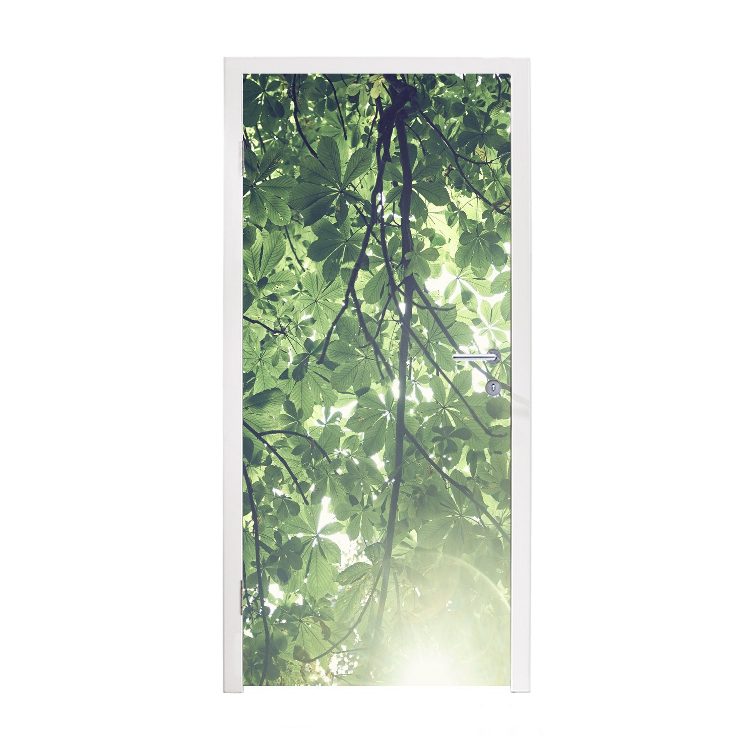 Türaufkleber, (1 Zweige Türtapete bedruckt, Fototapete St), MuchoWow Matt, Tür, Sonnenlicht, im 75x205 für cm