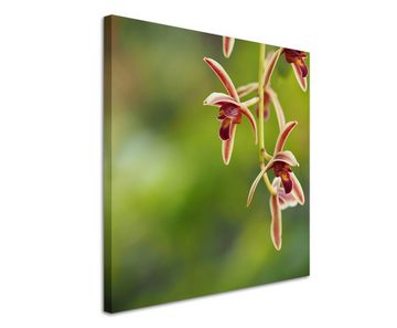 Sinus Art Leinwandbild Naturfotografie – Rote Orchidee auf grünem Hintergrund auf Leinwand