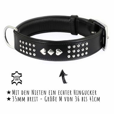 Monkimau Hunde-Halsband »Hundehalsband aus Leder mit Nieten«, Leder