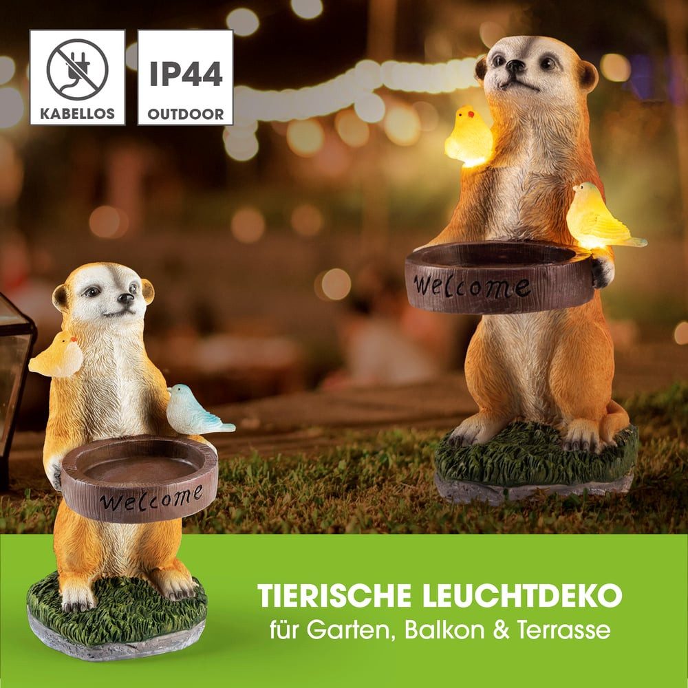 EASYmaxx LED Solarleuchte Erdmännchen als Vogeltränke, günstig online kaufen