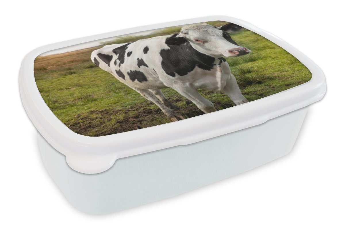 MuchoWow Lunchbox Kuh - Porträt - Friesisch, Kunststoff, (2-tlg), Brotbox für Kinder und Erwachsene, Brotdose, für Jungs und Mädchen weiß