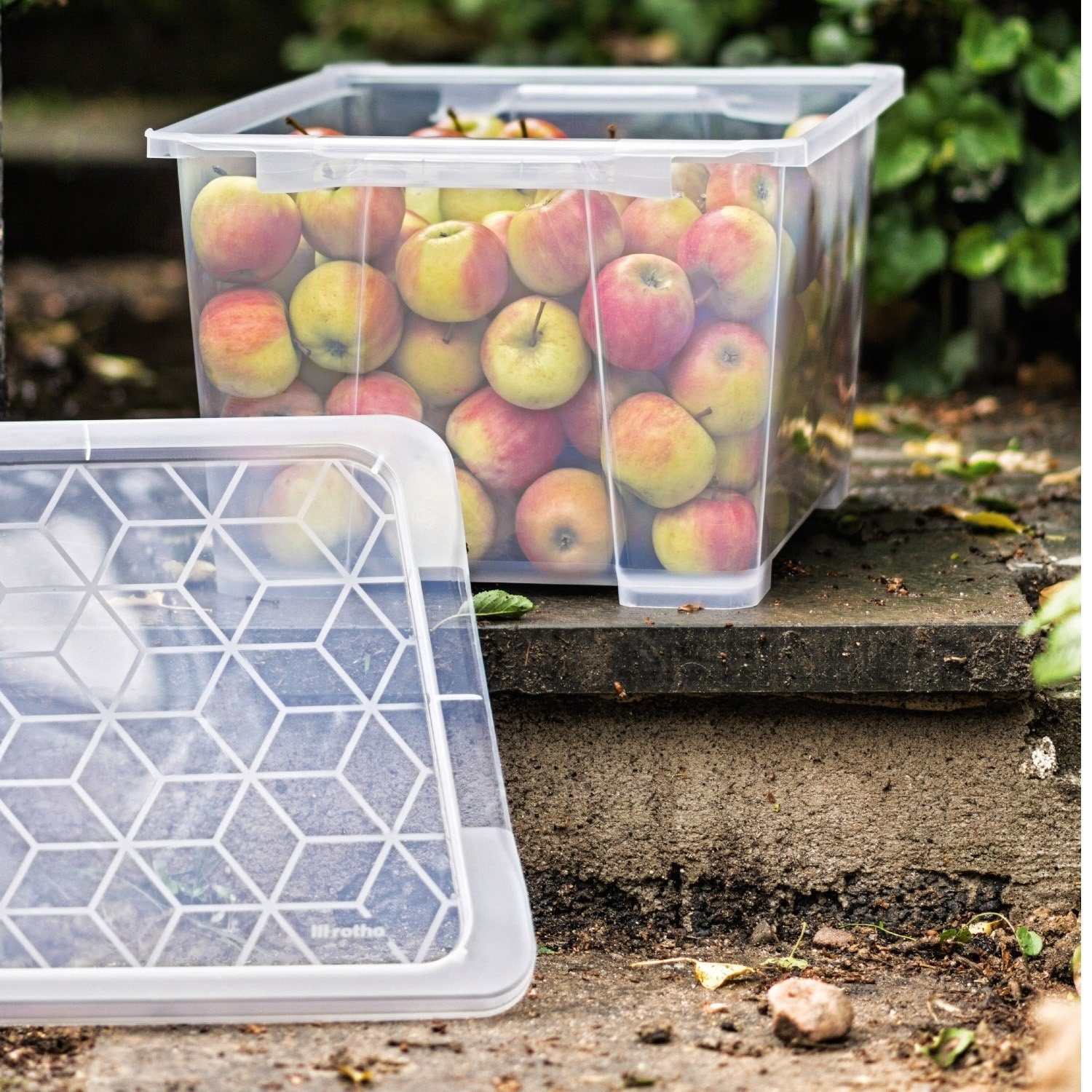 ROTHO Aufbewahrungsbox EVO EASY, Box, Transparent, 58,3 x 39,2 cm (1 St)