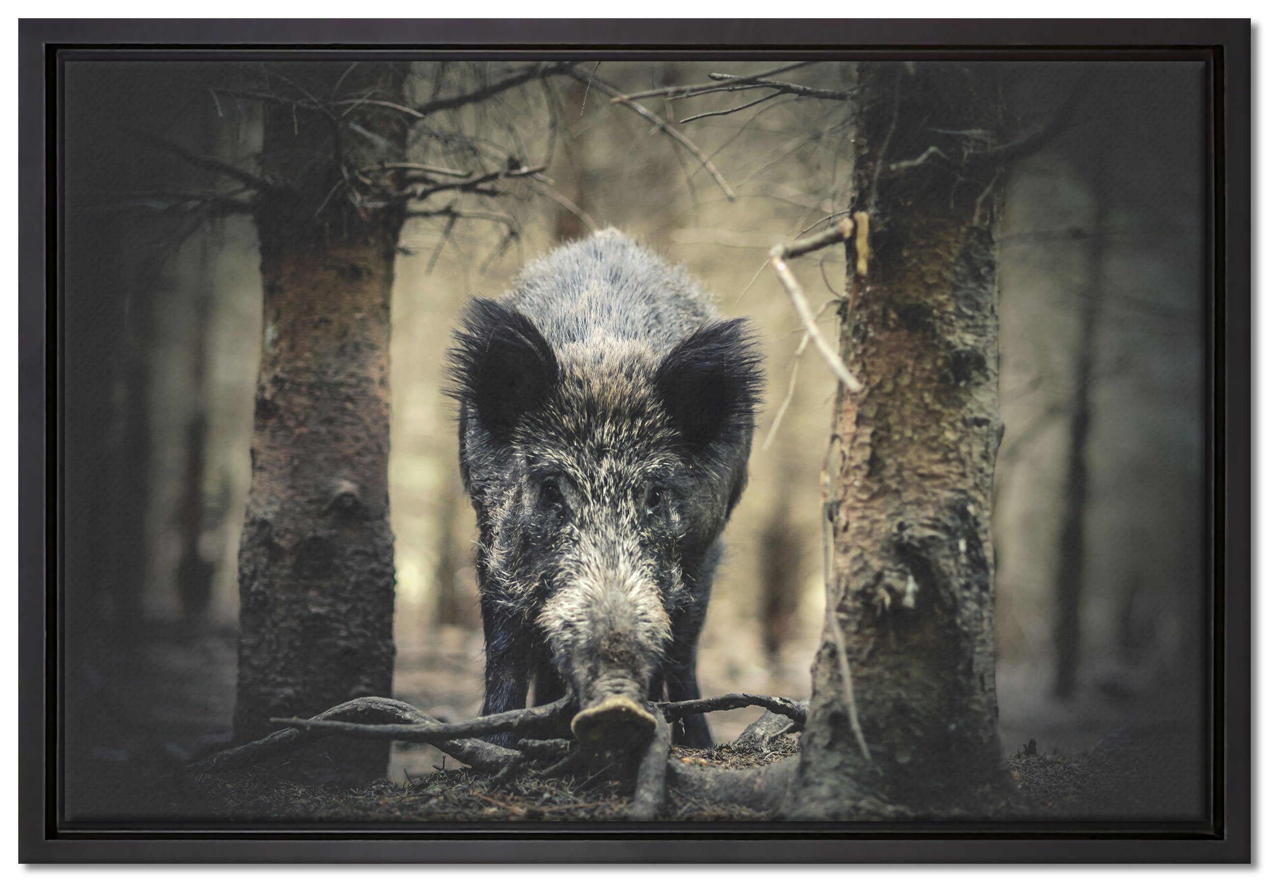 Pixxprint Leinwandbild Nahaufnahme Wildschwein im Wald, Wanddekoration (1 St), Leinwandbild fertig bespannt, in einem Schattenfugen-Bilderrahmen gefasst, inkl. Zackenaufhänger