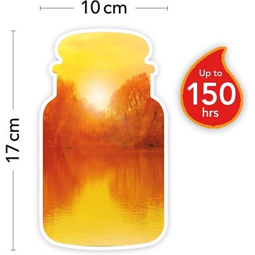 Yankee Candle Duftkerze Autumn Sunset, im Glas, 623 g, Zeder / Sandelholz / Zitrus, bis 150 Stunden