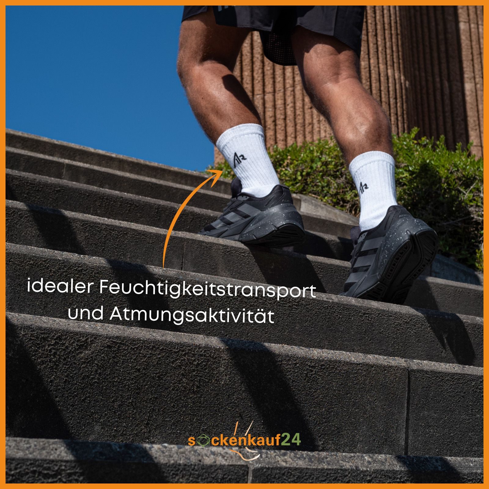 sockenkauf24 Sportsocken 10 Paar "i1R" Sport Socken Herren & Damen Socken Tennissocken (Gemischt, 39-42) mit Frotteesohle - 10300