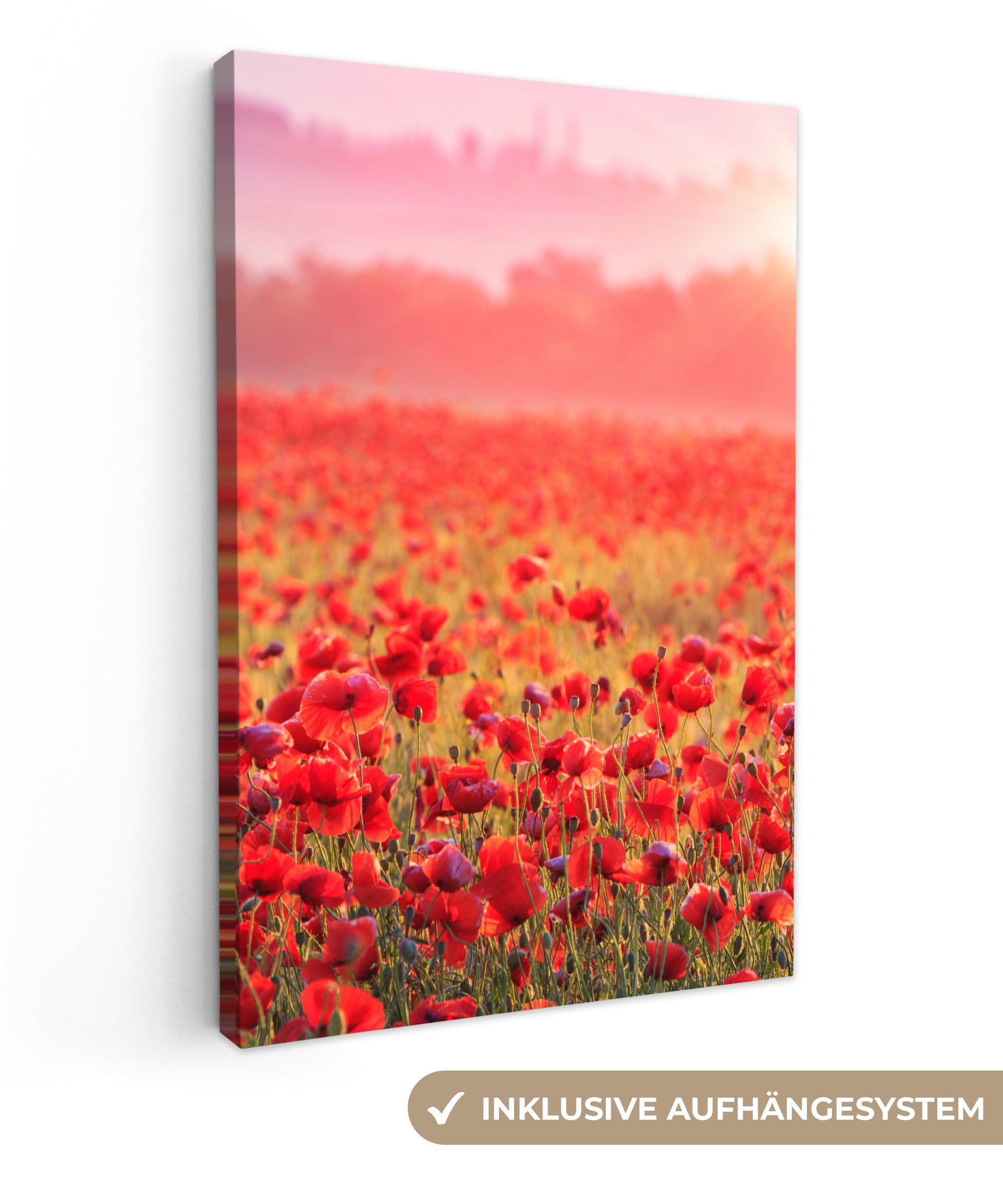 OneMillionCanvasses® Leinwandbild Blumen - Mohn - Rot - Blumenfeld, Fotodru günstig online kaufen