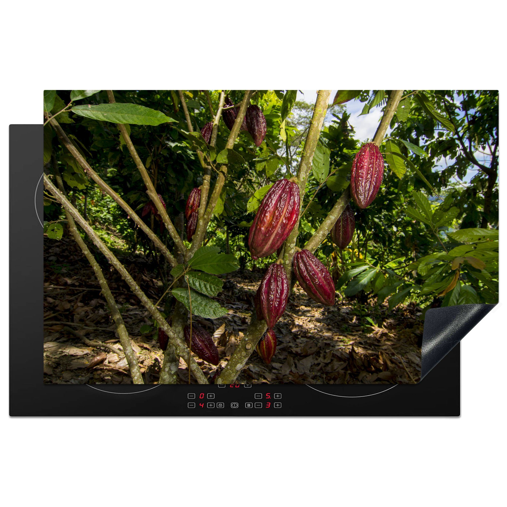 MuchoWow Herdblende-/Abdeckplatte Reife rote Kakaobohnen in einem wunderschönen Dschungel, Vinyl, (1 tlg), 81x52 cm, Induktionskochfeld Schutz für die küche, Ceranfeldabdeckung