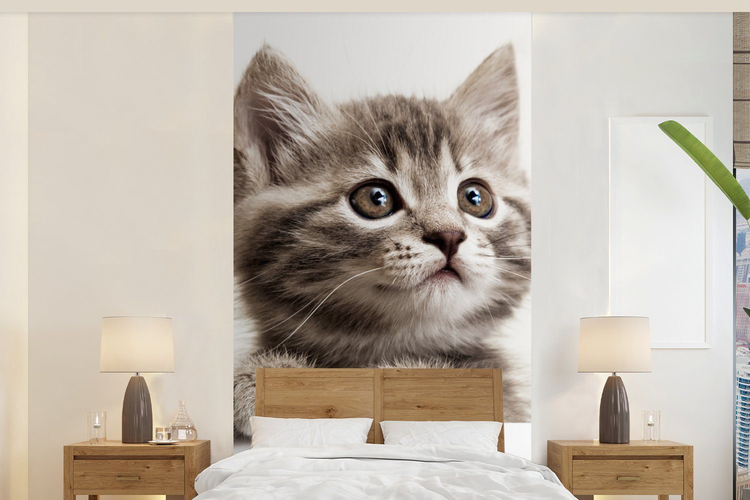 Katze Grau (2 MuchoWow Küche, - Schlafzimmer Tiere, St), bedruckt, Fototapete - für Vliestapete Fototapete Wohnzimmer Matt,