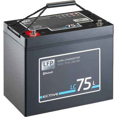 ECTIVE ECTIVE 12V 75Ah LiFePo4 Solar Batterie Lithium BMS Wohnmobil Camper Batterie, (12 V V)