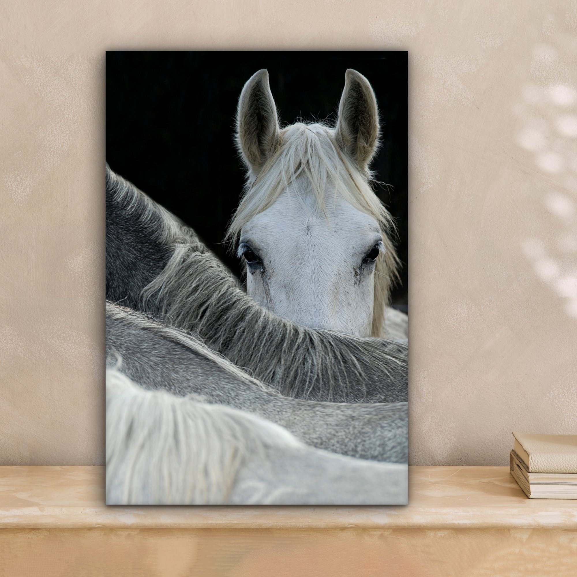 OneMillionCanvasses® Leinwandbild Pferde - Tiere - günstig online kaufen