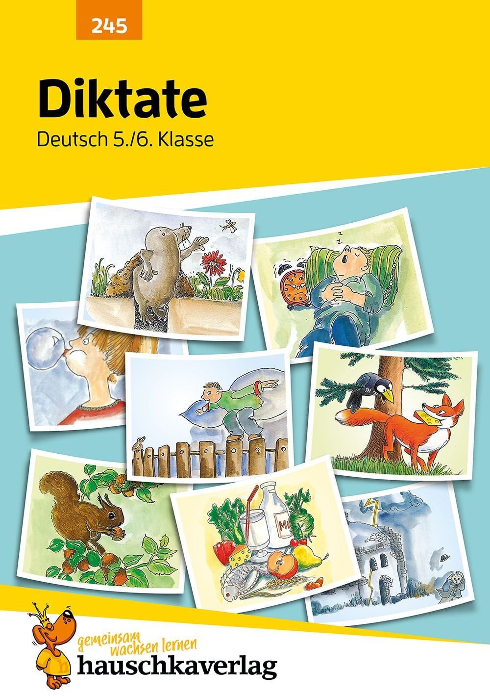 Diktate 5./6. Klasse, A5-Heft / Gerhard Widmann, Deutsch: Übungen mit Lösungen für Gymnasium und Realschule - Richtig schreiben, Rechtschreibung üben, Sekundarstufe I