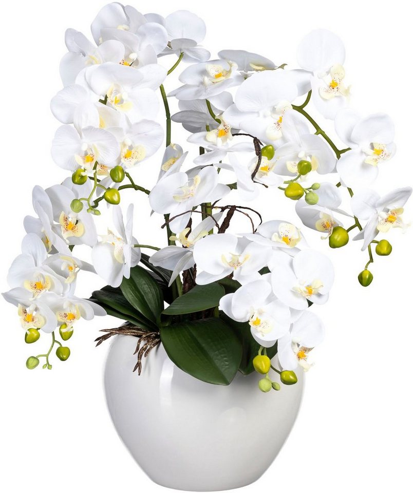 Kunstorchidee Phalaenopsis im Keramiktopf Orchidee Phalaenopsis, Creativ  green, Höhe 56 cm