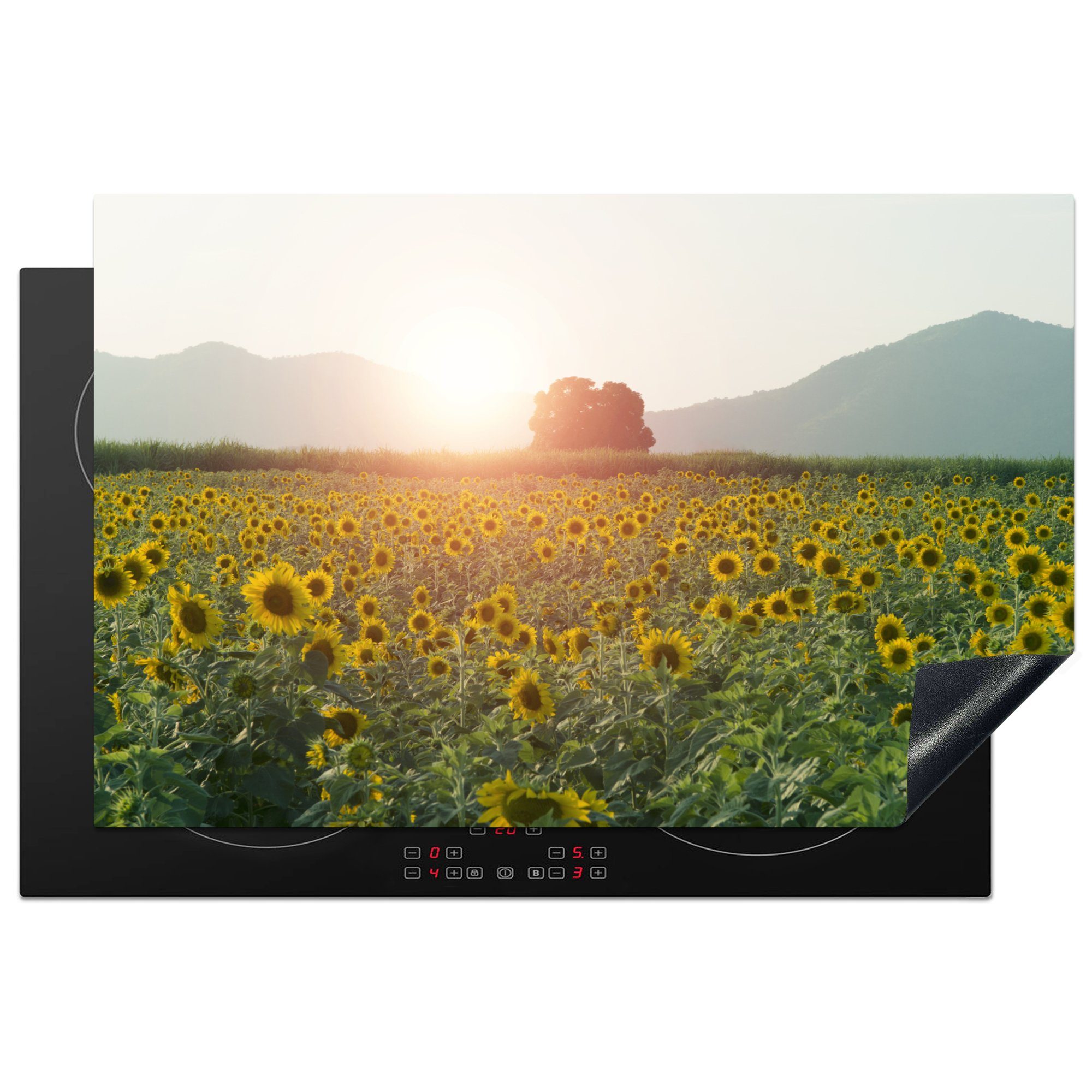 MuchoWow Herdblende-/Abdeckplatte Sonnenblumenfeld mit Sonnenaufgang, Vinyl, (1 tlg), 81x52 cm, Induktionskochfeld Schutz für die küche, Ceranfeldabdeckung