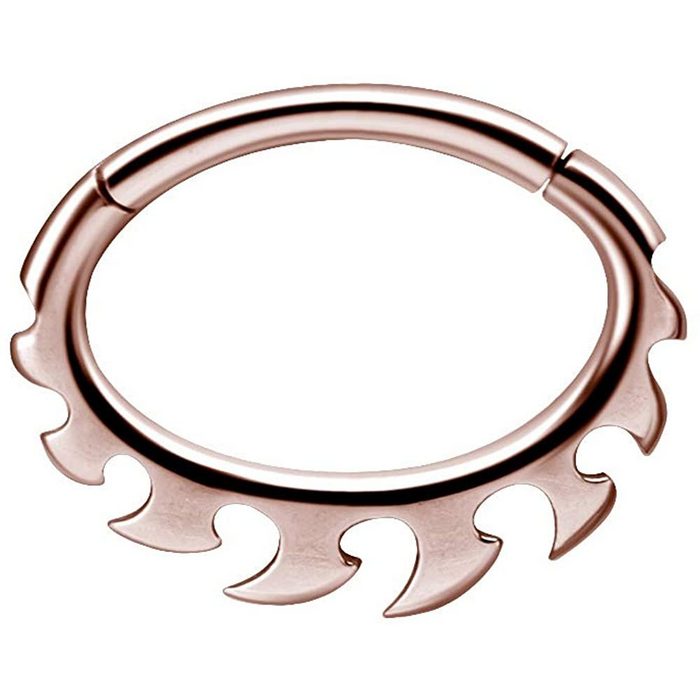 Karisma Piercing-Set Karisma Edelstahl 316L Hinged Septum/Daith Clicker Ring Ohrring Nase 1 2x8mm BSDX04 - Roségold