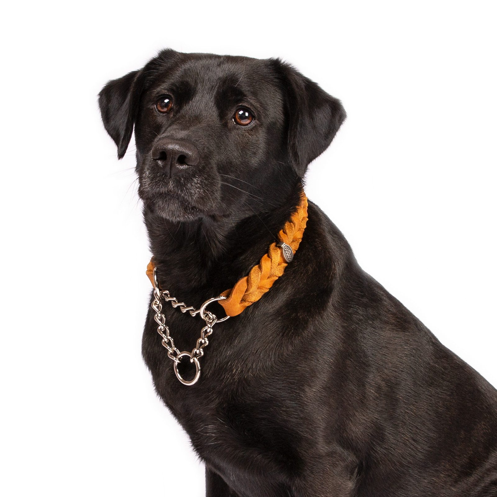 CopcoPet Hunde-Halsband Fettleder Halsband geflochten mit verchromter Zugstopp Kette, Leder, Leder, Geflochten, Handarbeit