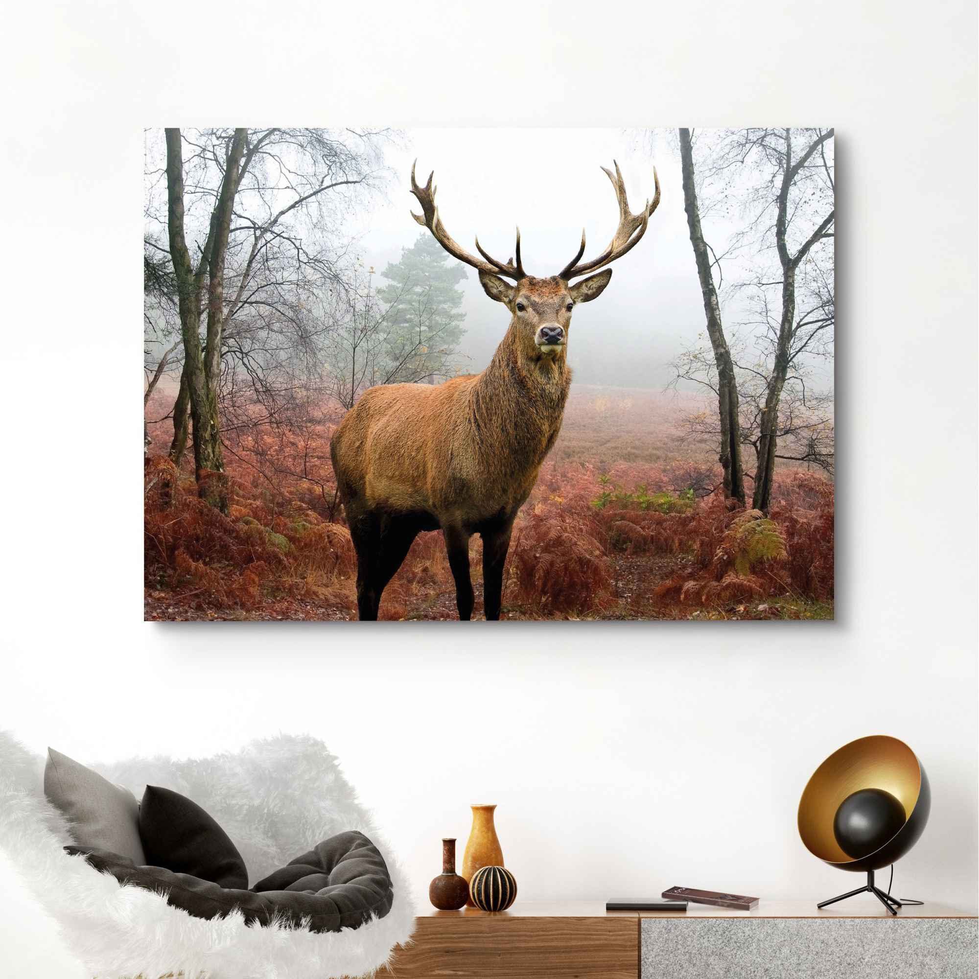 Reinders! Wandbild »Hirsch im Wald Tier - Hirschgeweih - Naturmotiv«, (1 Stück)-HomeTrends