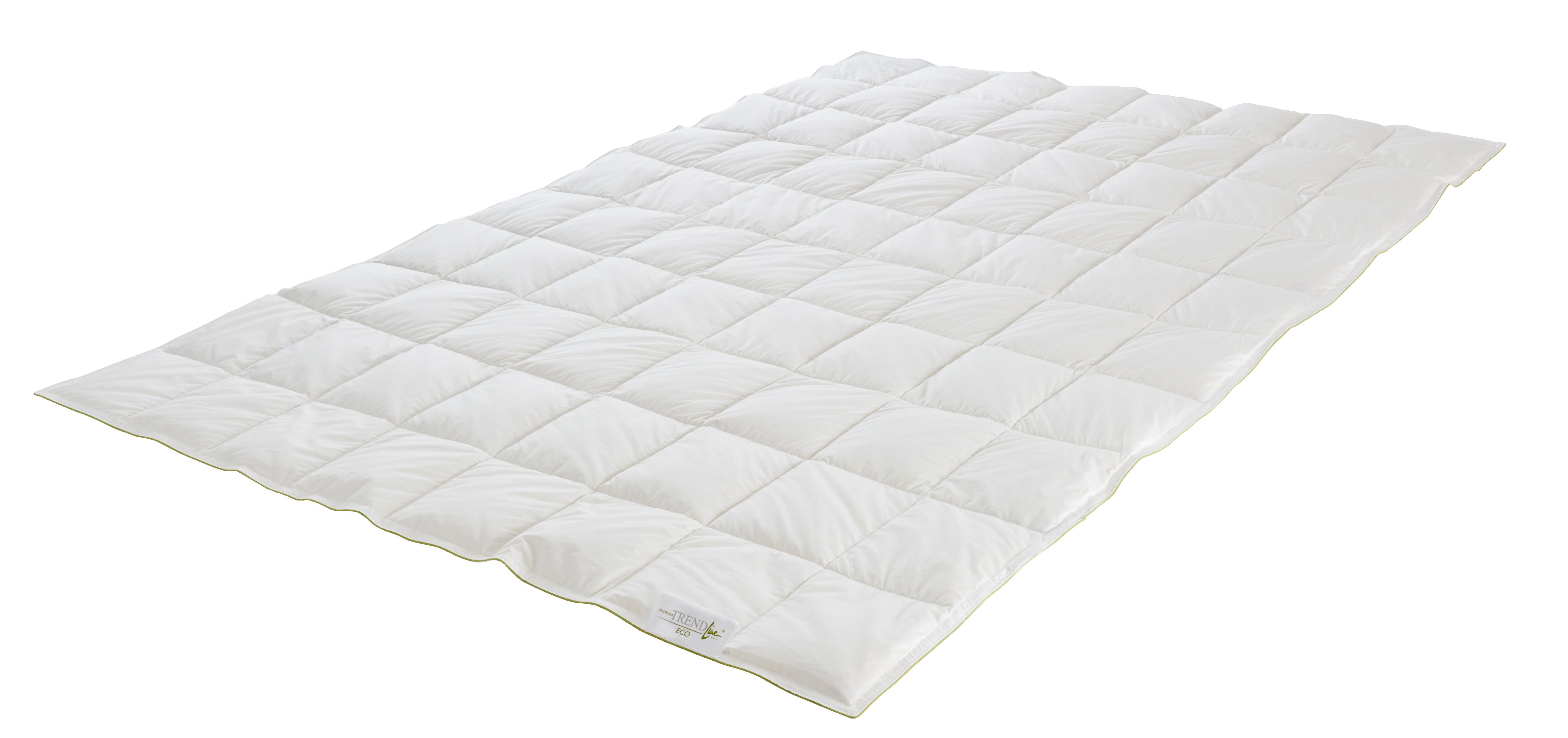 Badenia Trendline Daunenbettdecke Badenia Trendline® Eco, günstig online kaufen