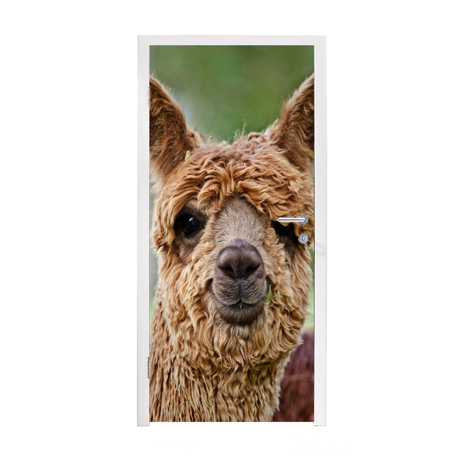 MuchoWow Türtapete Alpaka - Porträt - Tier, Matt, bedruckt, (1 St), Fototapete für Tür, Türaufkleber, 75x205 cm