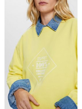 Esprit Sweatshirt Logo-Sweatshirt aus Baumwolle (1-tlg)