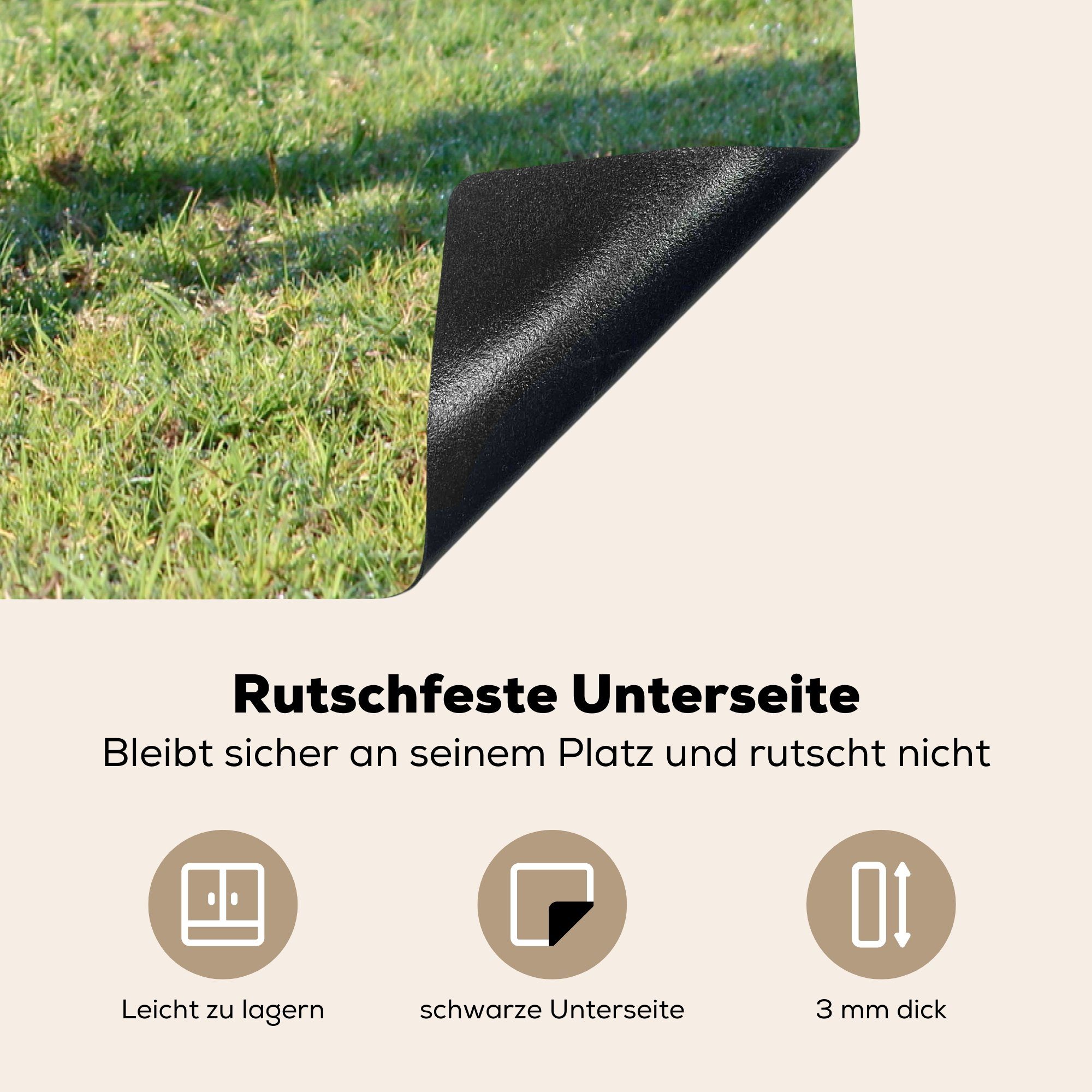MuchoWow Herdblende-/Abdeckplatte Schaf 81x52 (1 - küche, Gras, Schwarz tlg), cm, Induktionskochfeld Ceranfeldabdeckung für die - Schutz Vinyl, - Lamm