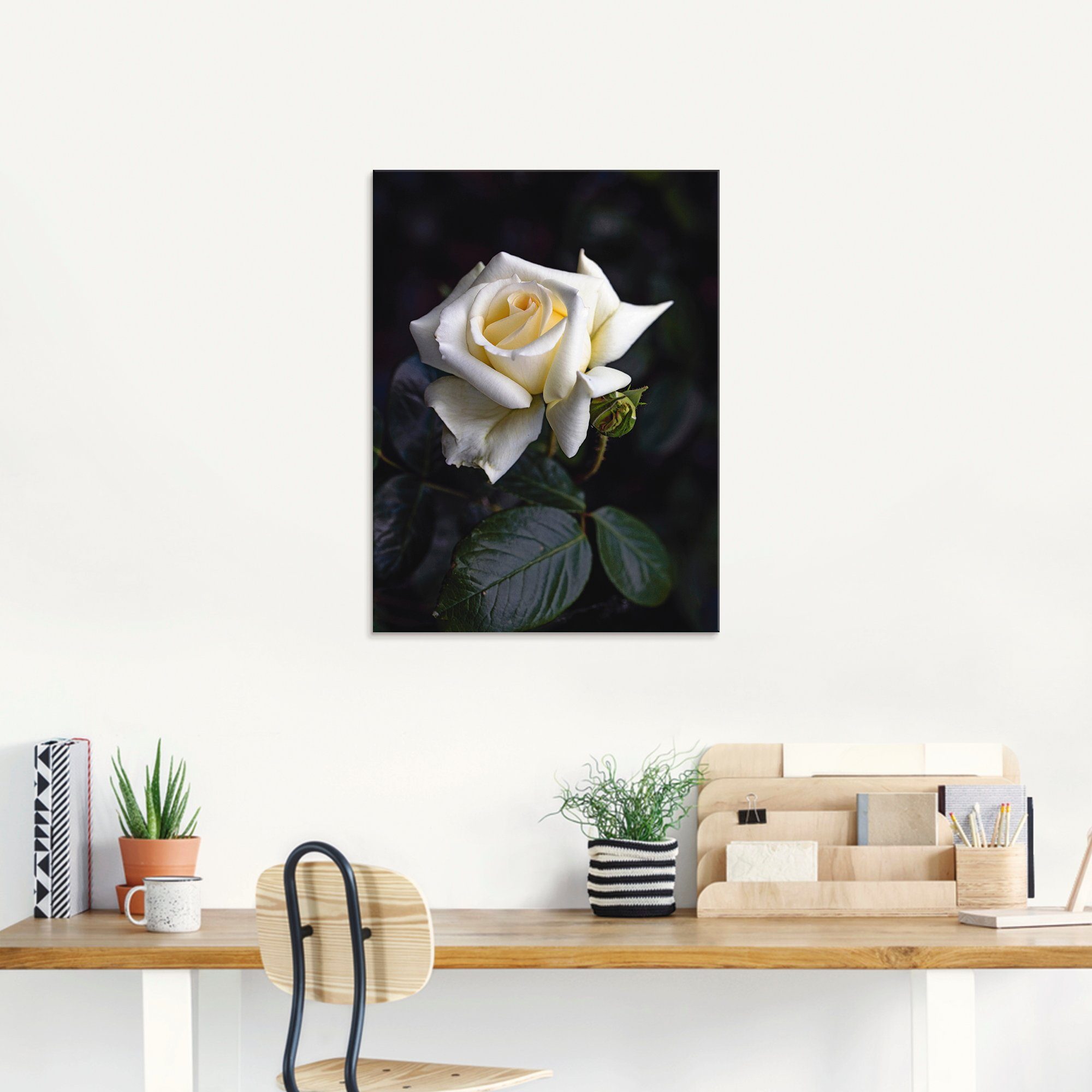 Artland Glasbild Weiß-gelbe Rose, in verschiedenen (1 Größen Blumen St)