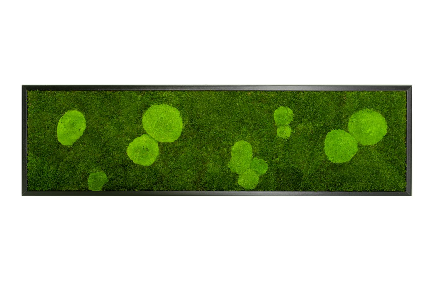 Moos-Design Bilderrahmen Moos Bild Forest Design günstig online kaufen