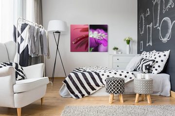 Sinus Art Leinwandbild 2 Bilder je 60x90cm Blüten sanfte Blumen Wassertropfen Beruhigend Sanft Zart Makrofotografie