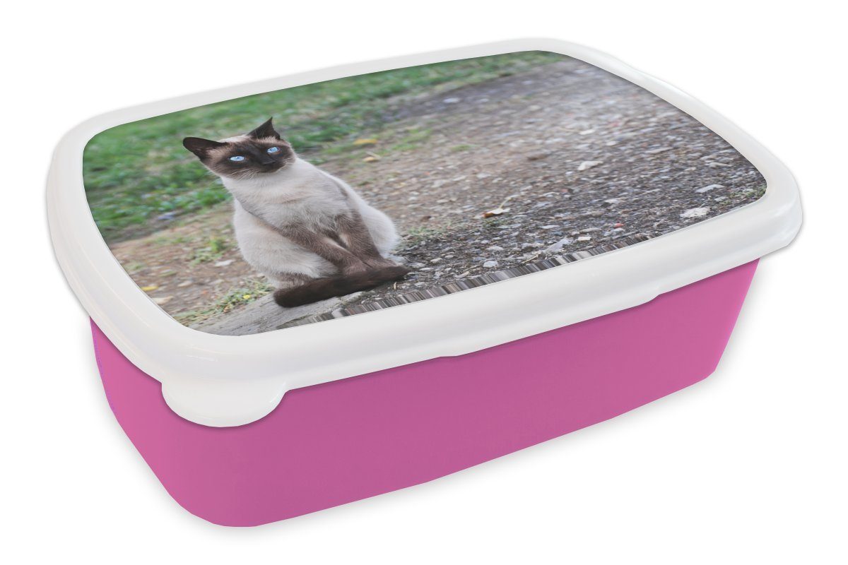 MuchoWow Lunchbox Siamesische Katze sitzt auf einer Kröte, Kunststoff, (2-tlg), Brotbox für Erwachsene, Brotdose Kinder, Snackbox, Mädchen, Kunststoff rosa