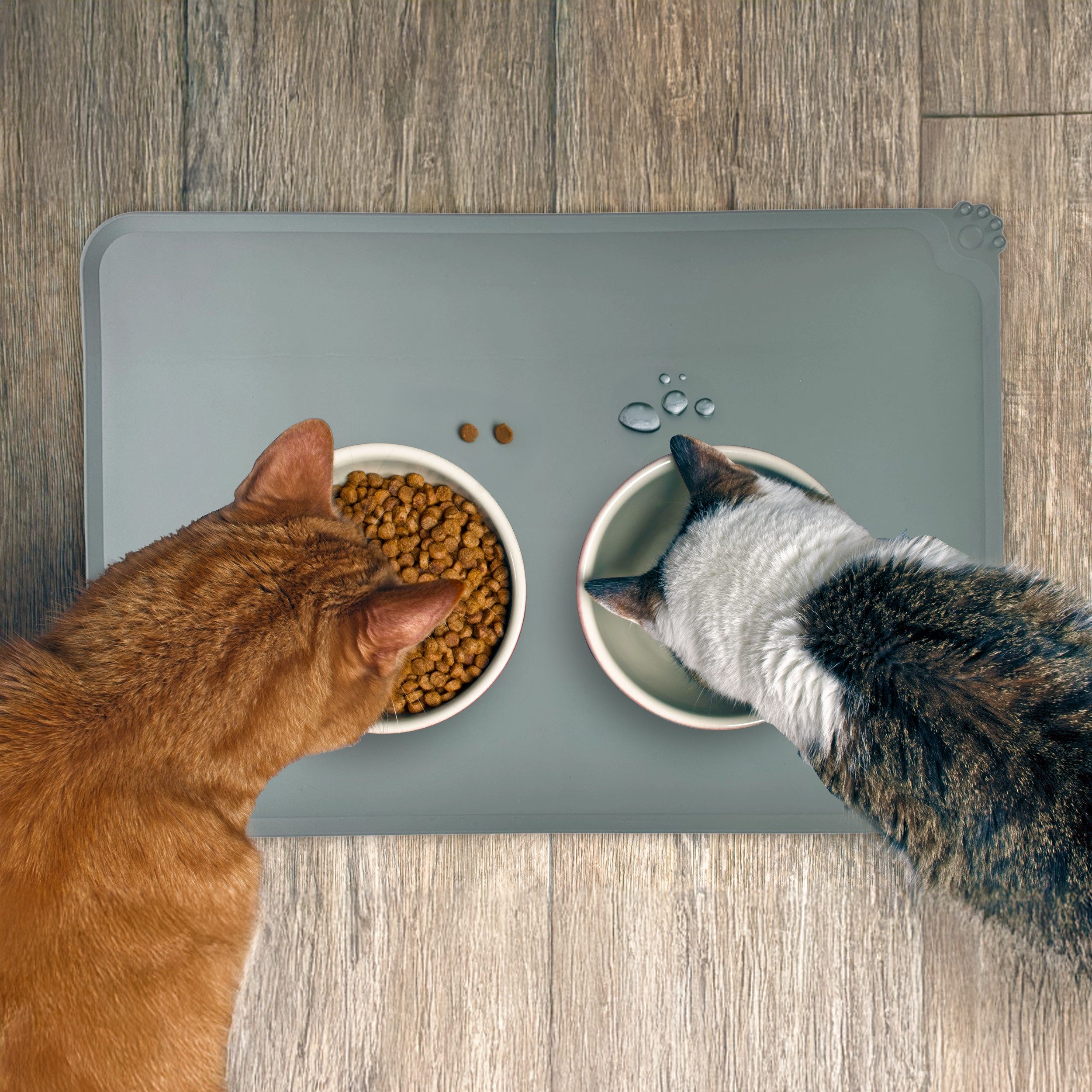 Milo & Luna Napfunterlage Lunamat Napfunterlager Silikon, Hunde & Katzen 48×30 / 55×38 cm, rutschfest, auslaufsicherer Rand, pflegeleicht, langlebig – Bild 2 von 5