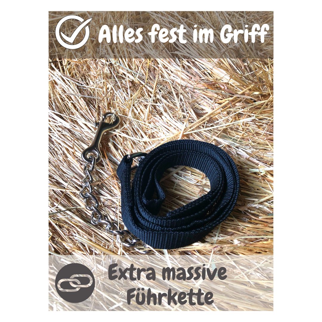 Pferdelinis Anbinde- / Führstrick Führkette Pferde Eisenkette Handgriff Führleine Pony Länge 2,10 m, Länge 210cm