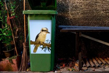 MuchoWow Wandsticker Ein weißer Kookaburra sitzt auf einem Baum in Australien (1 St), Mülleimer-aufkleber, Mülltonne, Sticker, Container, Abfalbehälter