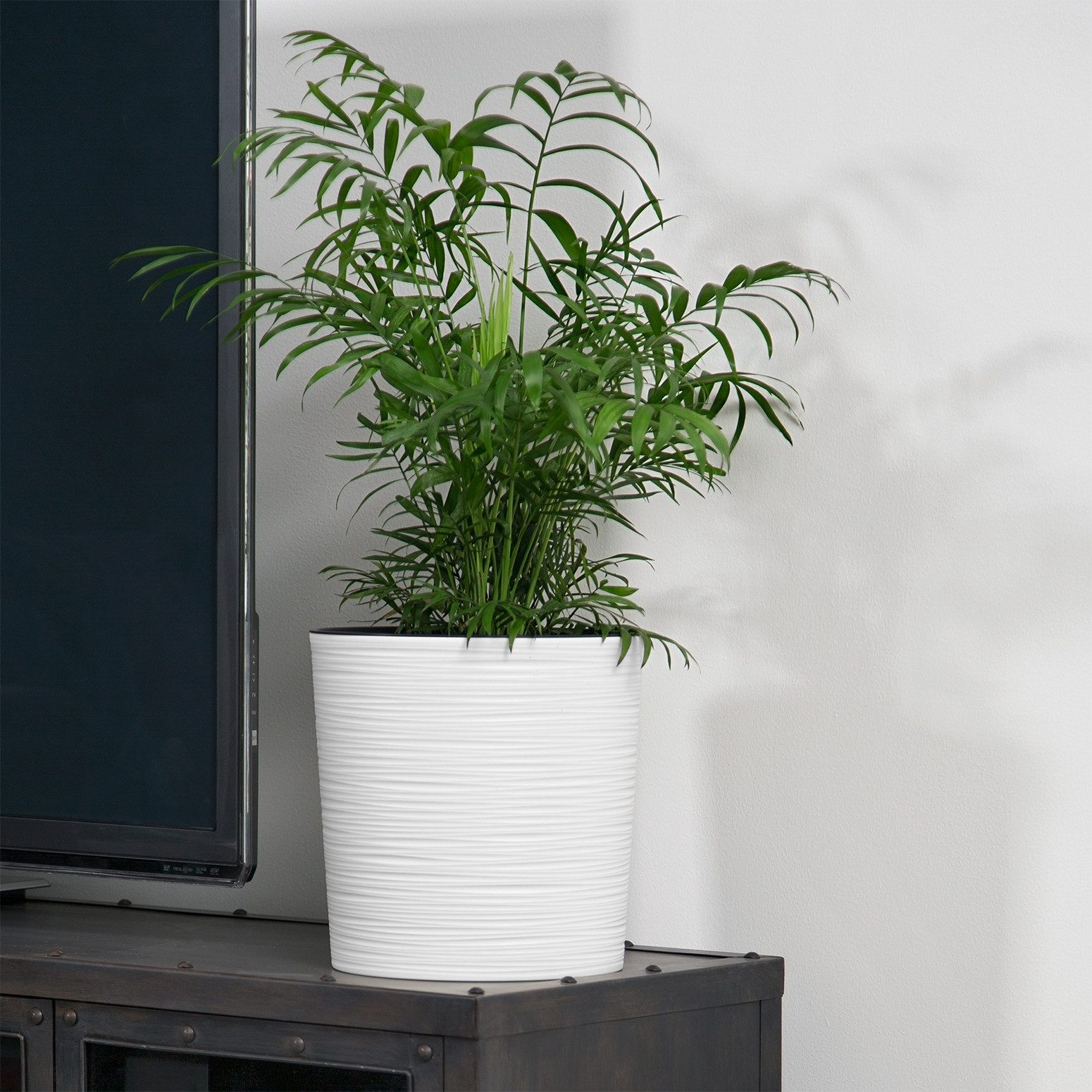 KAGM Pflanzkübel Blumenkübel Blumentopf in Rillenoptik rund 3 Farben 3 Größen (inkl. Pflanzeinsatz)
