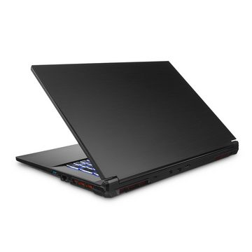 dcl24.de Gaming-Notebook (43,90 cm/17.3 Zoll, Intel Core i9 13900H, 2000 GB SSD, WLAN, Windows 11 Pro)