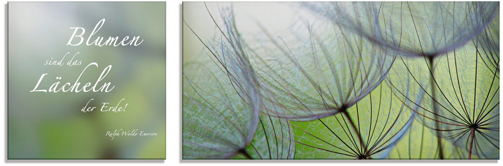 Artland Glasbild Zitatenbild, Pusteblumen-Samen, Sprüche & Texte (2 St), in verschiedenen Größen