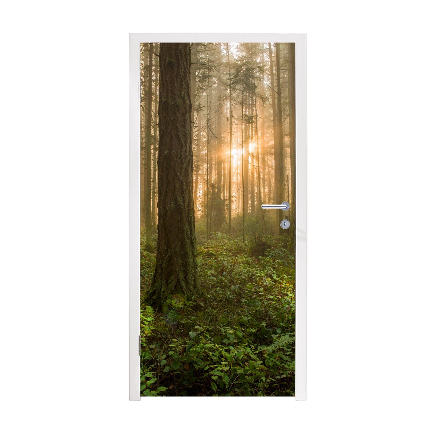 Türaufkleber, Türtapete Licht, - bedruckt, MuchoWow Tür, (1 St), - Matt, 75x205 cm Wald Sonne Fototapete für