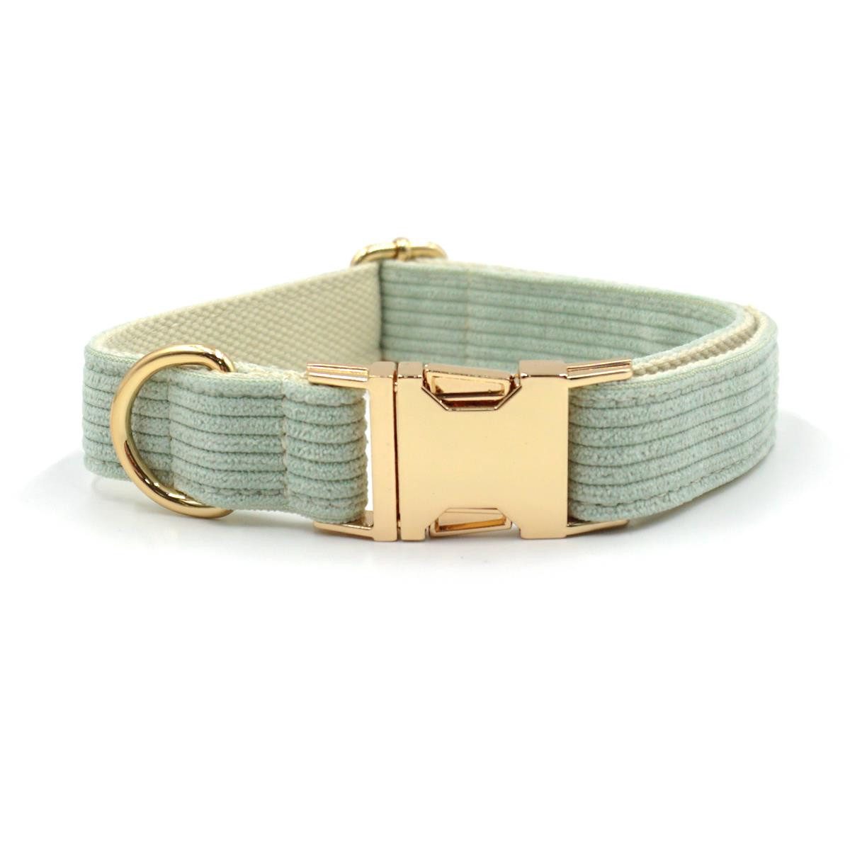 dazikemo Tier-Halsband Hundehalsband White-Tea XS