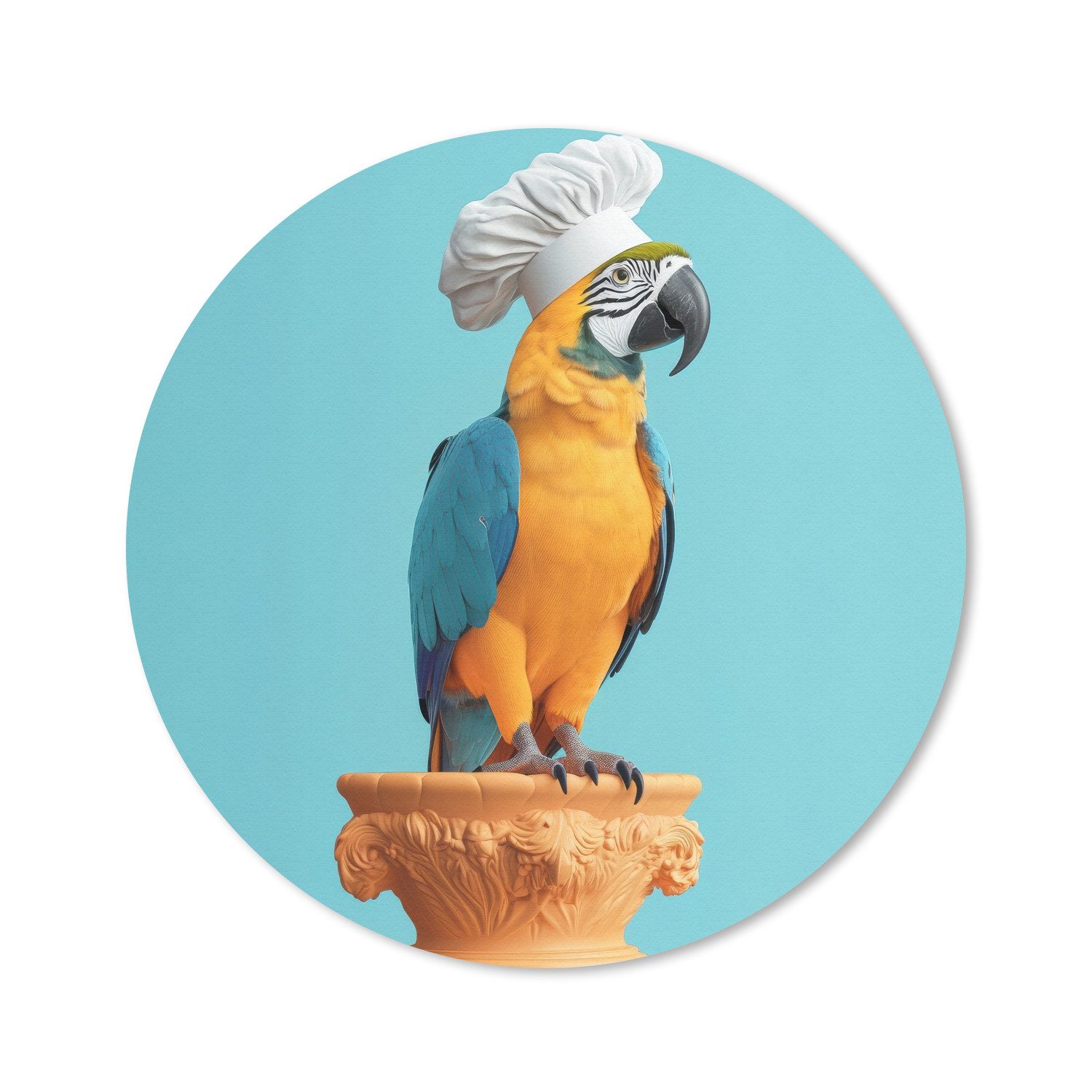 Haube - Papagei - Blau