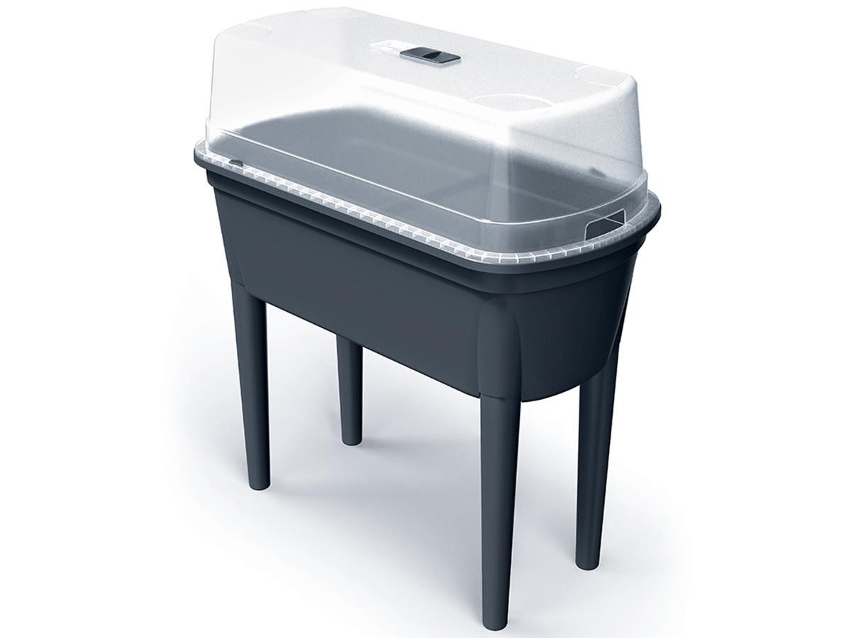 Prosperplast Hochbeet Bloomo (78 x 38 x 82 cm, inkl. Beine und Deckel)