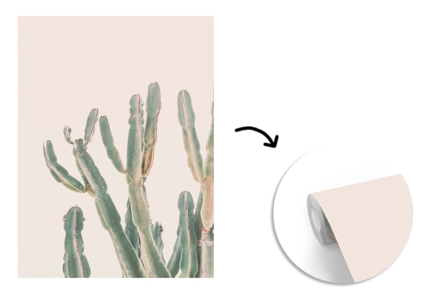 Fototapete St), (4 - MuchoWow - Natur, Pflanze Wohnzimmer, Grün für Matt, Kaktus Wandtapete - Vinyl bedruckt, Tapete Montagefertig