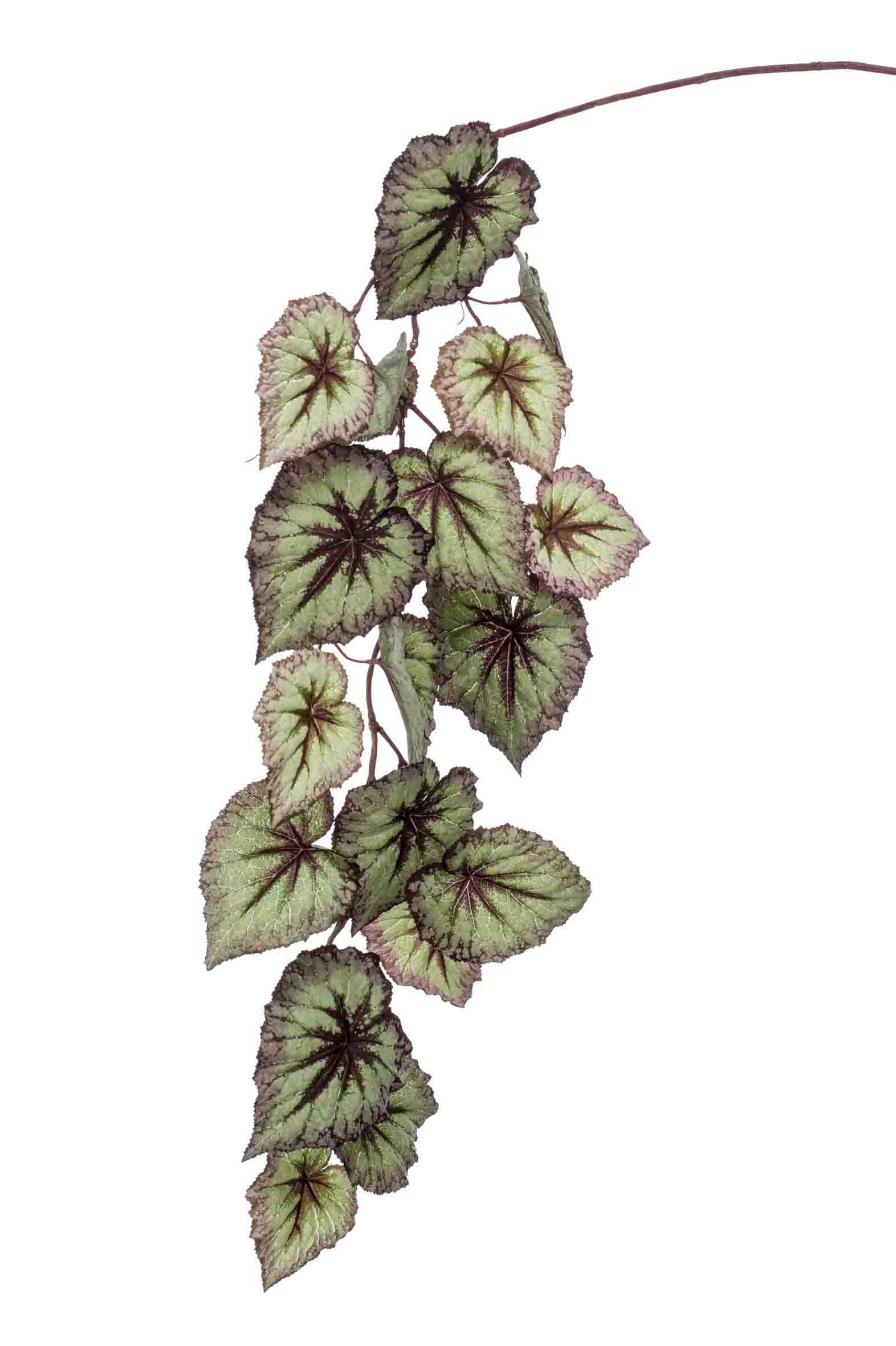 Kunstzweig Blattbegonien Zweig Meira, grün-violett, 110cm Begonie (Blattbegonie), artplants, Höhe 110.0 cm