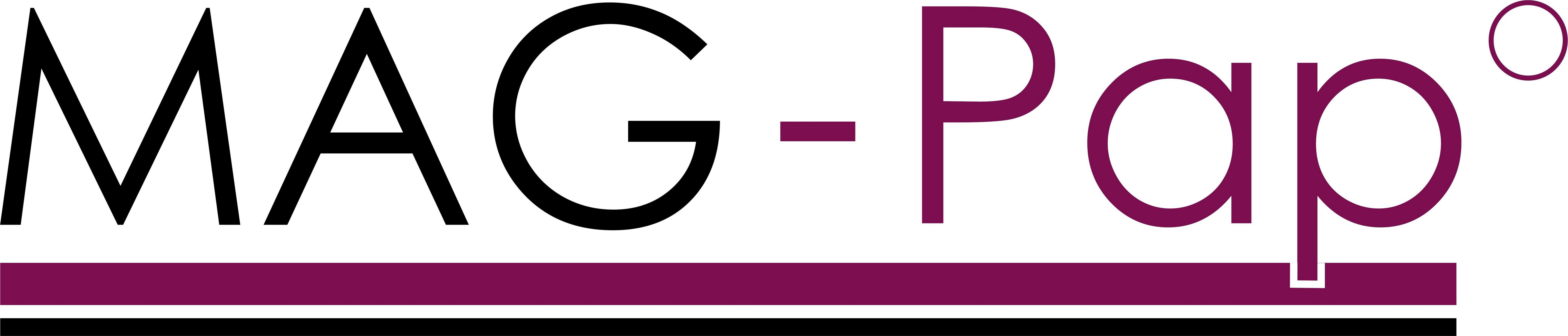 Wissner® aktiv lernen Lernspielzeug Verkehrszeichensatz magnetisch (124 Teile) Verkehrsschilder lernen, RE-Plastic®