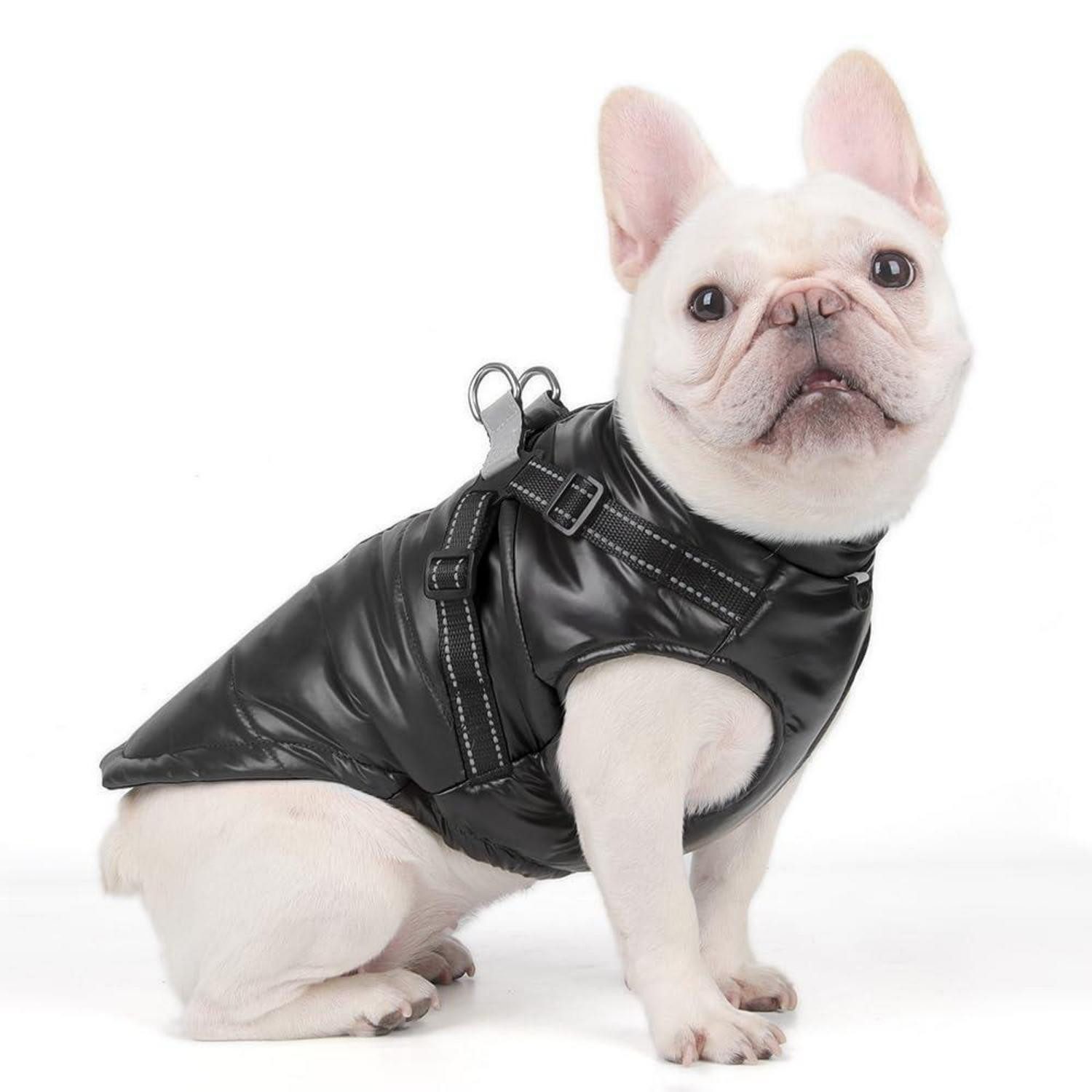 LuxusKollektion Hundemantel Hundemantel Winter Warm Gepolstert Schwarz XL