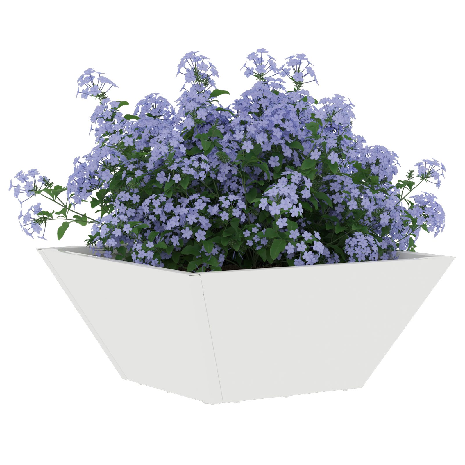 Thumbnail - vidaXL Blumentopf Plastikpflanzkübel Weiß Kunststoff 35 x 35 x 15 cm (1 St)