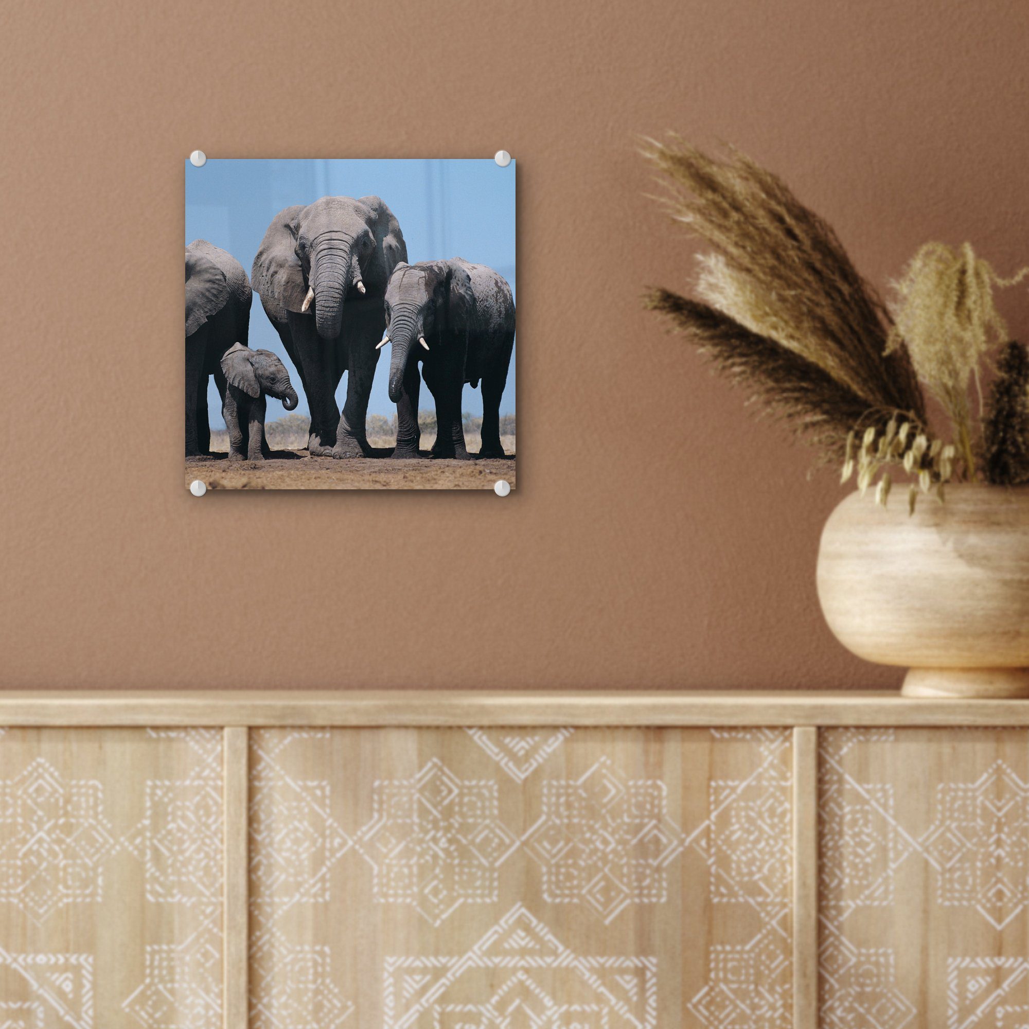 Glas - - (1 - Prärie - MuchoWow Tiere Wandbild - Natur, Glas Glasbilder - Bilder Elefant Foto St), Wanddekoration auf Acrylglasbild auf