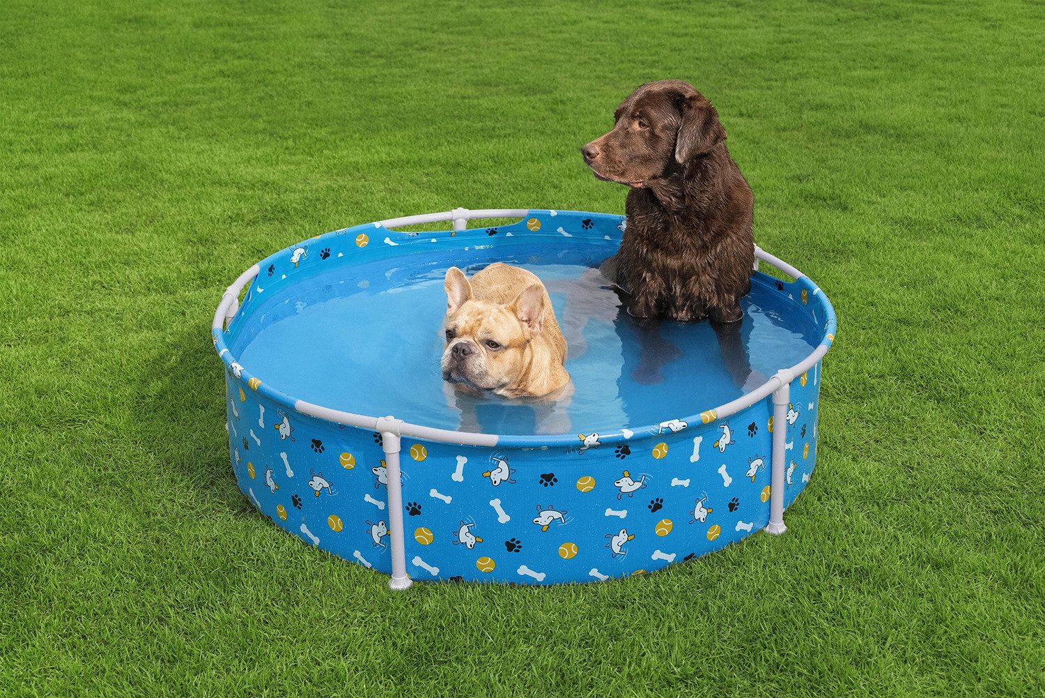 Bestway Hundepool "Pfote", (Packung, 1-tlg., für Haustiere), 122 x 30,5 cm – Bild 5 von 5