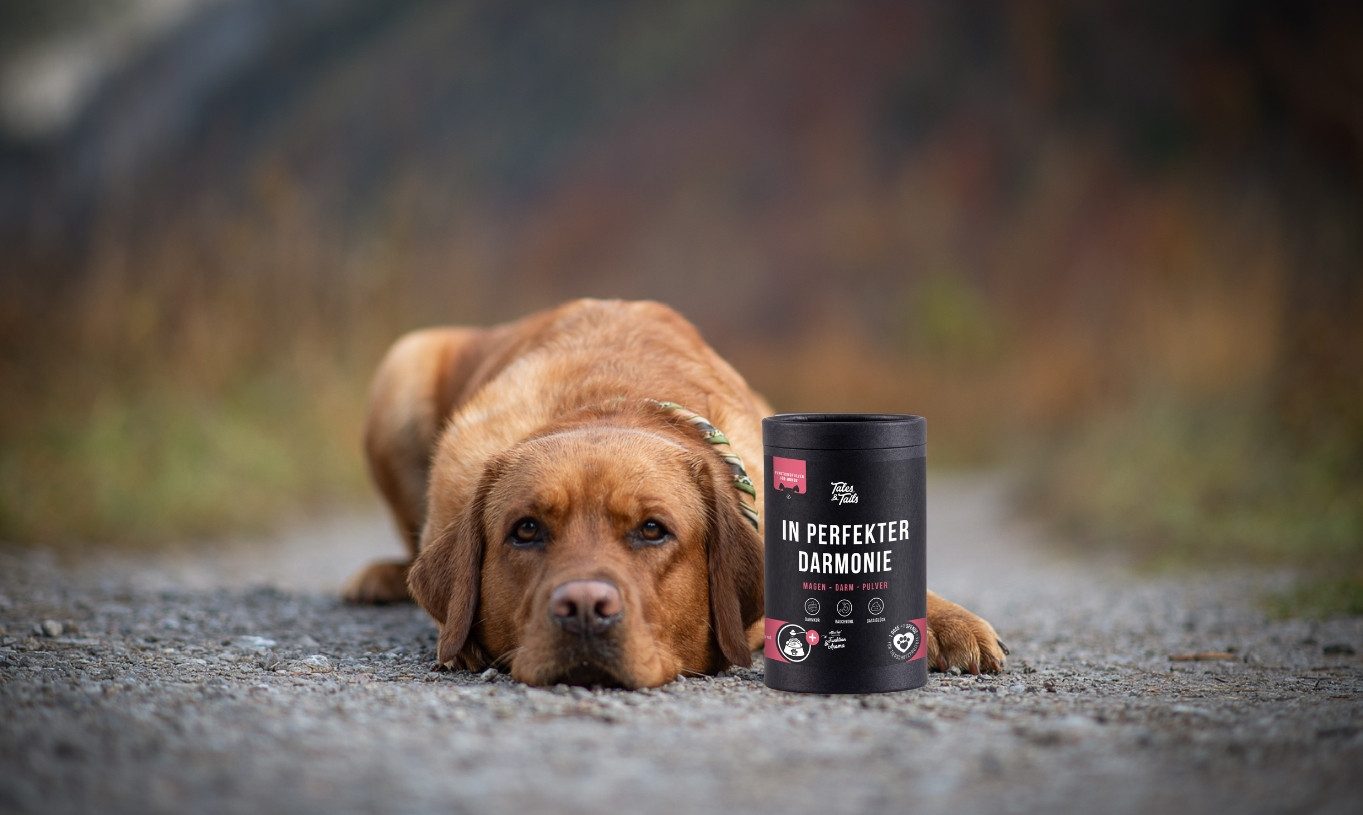 Tales & Tails Magen-Darm-Pulver - In perfekter Darmonie, Nahrungsergänzungsmittel für: Hunde
