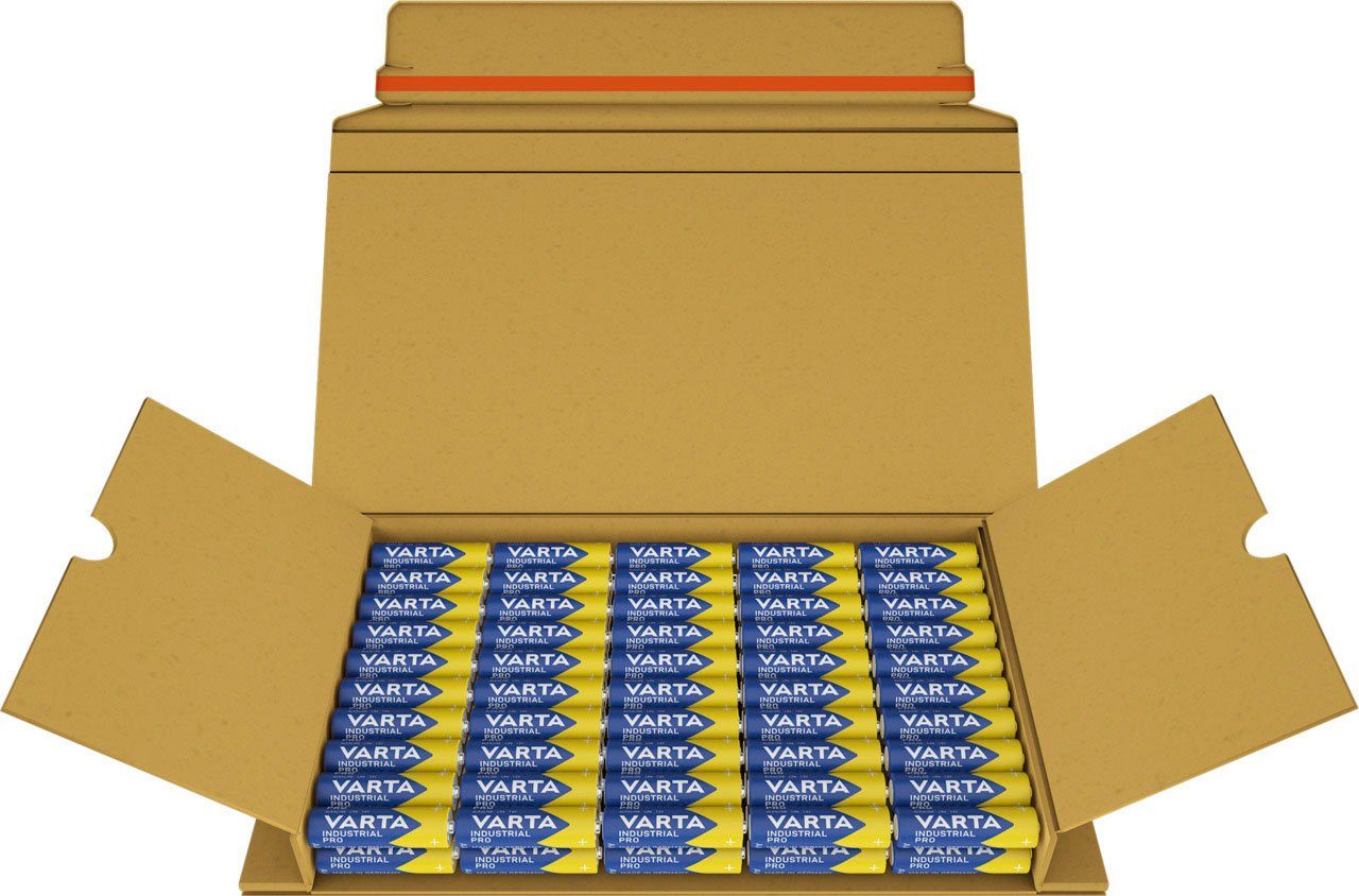 10er Pack Varta CR123A Professional Batterie Made in Germany & Industrial Batterie AAA Micro Alkaline Batterien LR03-40er Pack umweltschonende Verpackung 