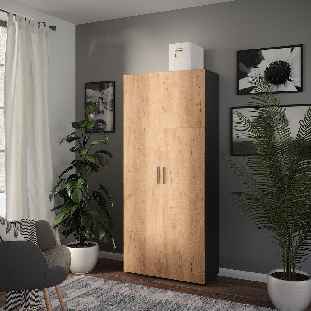 Vicco Aktenschrank Ingo, Anthrazit/Goldkraft Eiche, 80 x 183.8 cm (1-St)