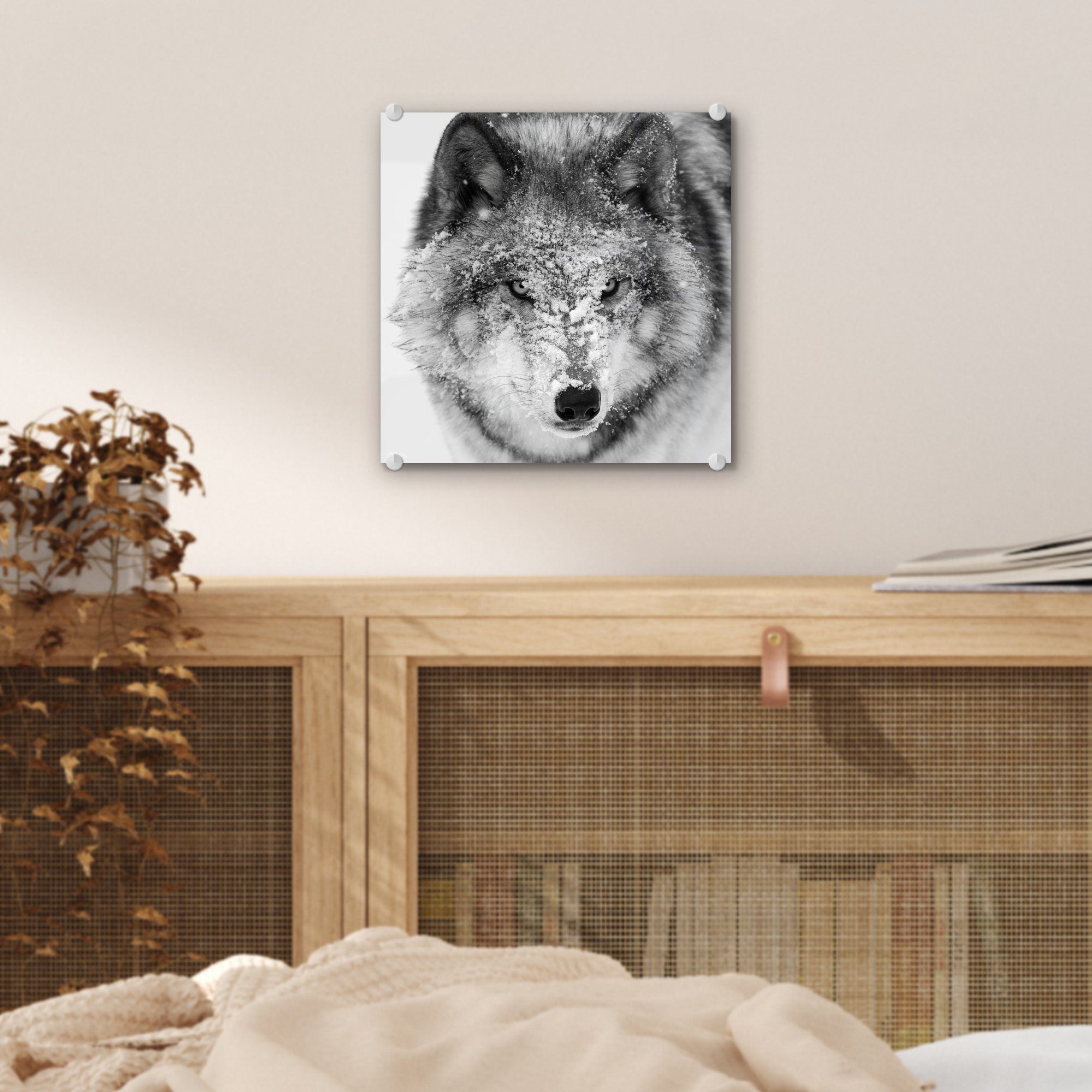 - - (1 St), Glasbilder verschneitem auf Wandbild Acrylglasbild Foto mit auf Bilder MuchoWow Wanddekoration Kopf Wolf - in schwarz-weiß, Glas Glas